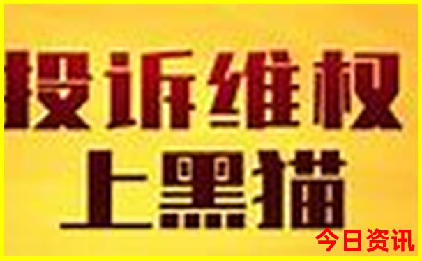 网红王新迪个人资料